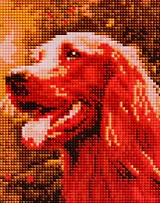 Алмазная мозаика ТМ Рыжий Кот (класс.) 17х22см (14цв) Ирландский сеттер, с подрамником, с полным заполнением AC17003