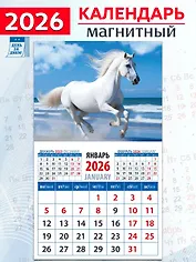 Календарь 2026г 94*167 «Год лошади. На морском берегу» на магните
