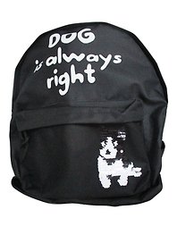 Рюкзак школьный «Dog is right», 39 см, Centrum