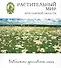 Растительный мир Ярославской области (БиблЯрСем) Перфильева - 0