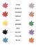 Colours. Цвета - 2
