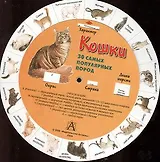 Круг Кошки (бол)