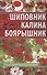 Шиповник, калина, боярышник. Лучшие лекарства от всех болезней - 0