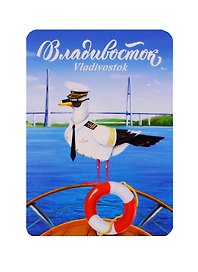 ГС Магнит Владивосток Чайка (3252714)