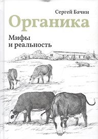 Мифы и реальность