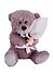 Игрушка мягкая Fluffy Family Мишка с букетом,  20см 681559 - 0