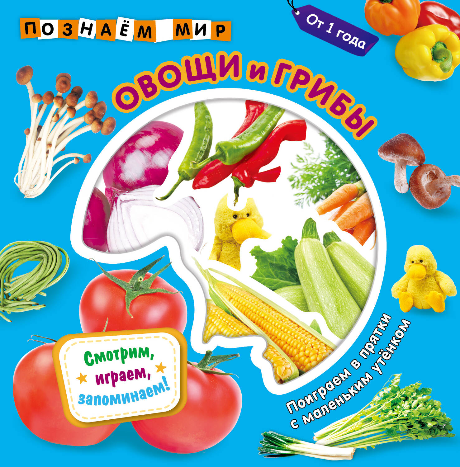 Овощи и грибы. Познаем мир