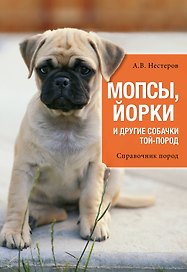 Мопсы, йорки и другие собачки той-пород