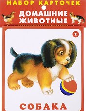 Домашние животные