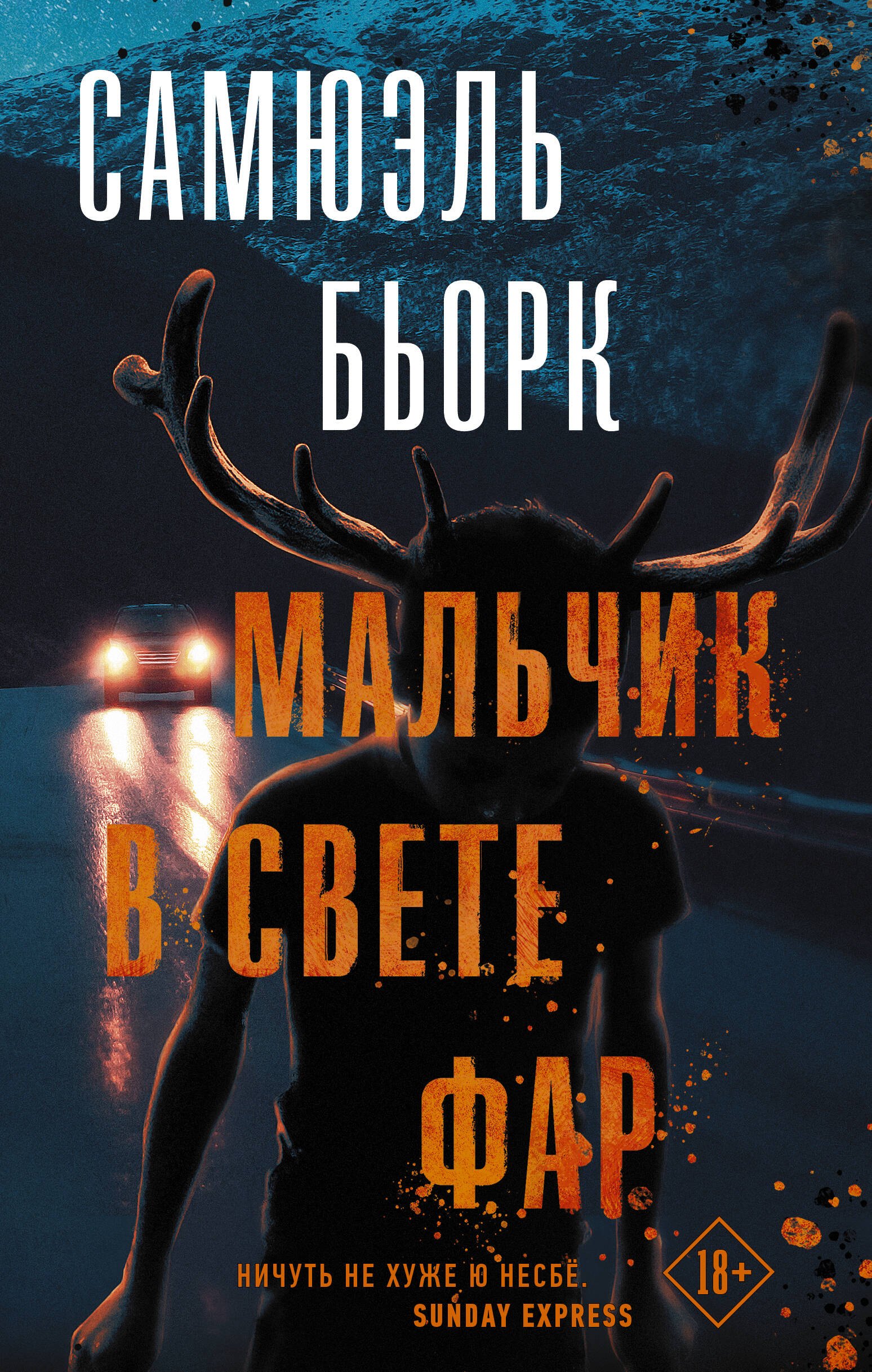 

Мальчик в свете фар