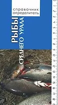 Рыбы среднего Урала (Справочник-определитель). Богданов В. (Сократ)
