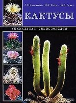 Кактусы: Уникальная энциклопедия