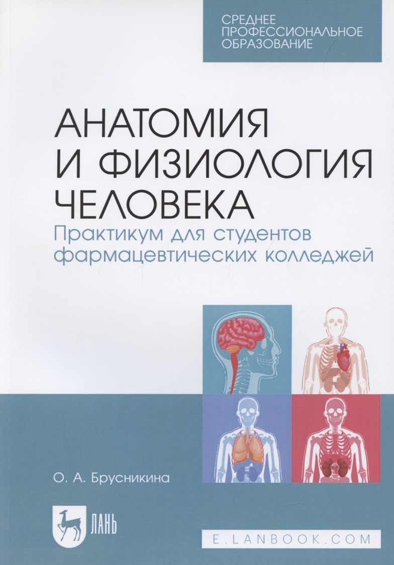 

Анатомия и физиология человека. Практикум для студентов фармацевтических колледжей