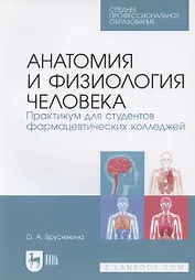 Анатомия и физиология человека. Практикум для студентов фармацевтических колледжей