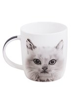Кружка Котенок (350мл) (482-116)