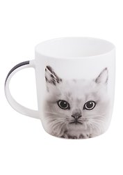 Кружка Котенок (350мл) (482-116)