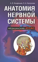 Анатомия нервной системы