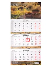 Календарь квартальный 2026г 297*695 "Сады Прованса" настенный, трёхблочный, спираль