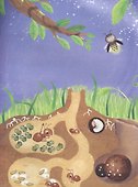Светлячки, муравьишки, паучки. С наклейками - 2