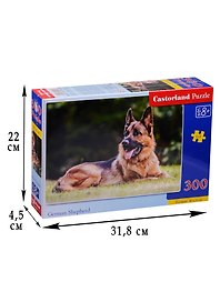 Пазл 300 Восточноевропейская овчарка (40х29) (B-030200) (Castorland Puzzle) (8+)