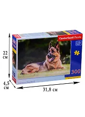 Пазл 300 Восточноевропейская овчарка (40х29) (B-030200) (Castorland Puzzle) (8+)