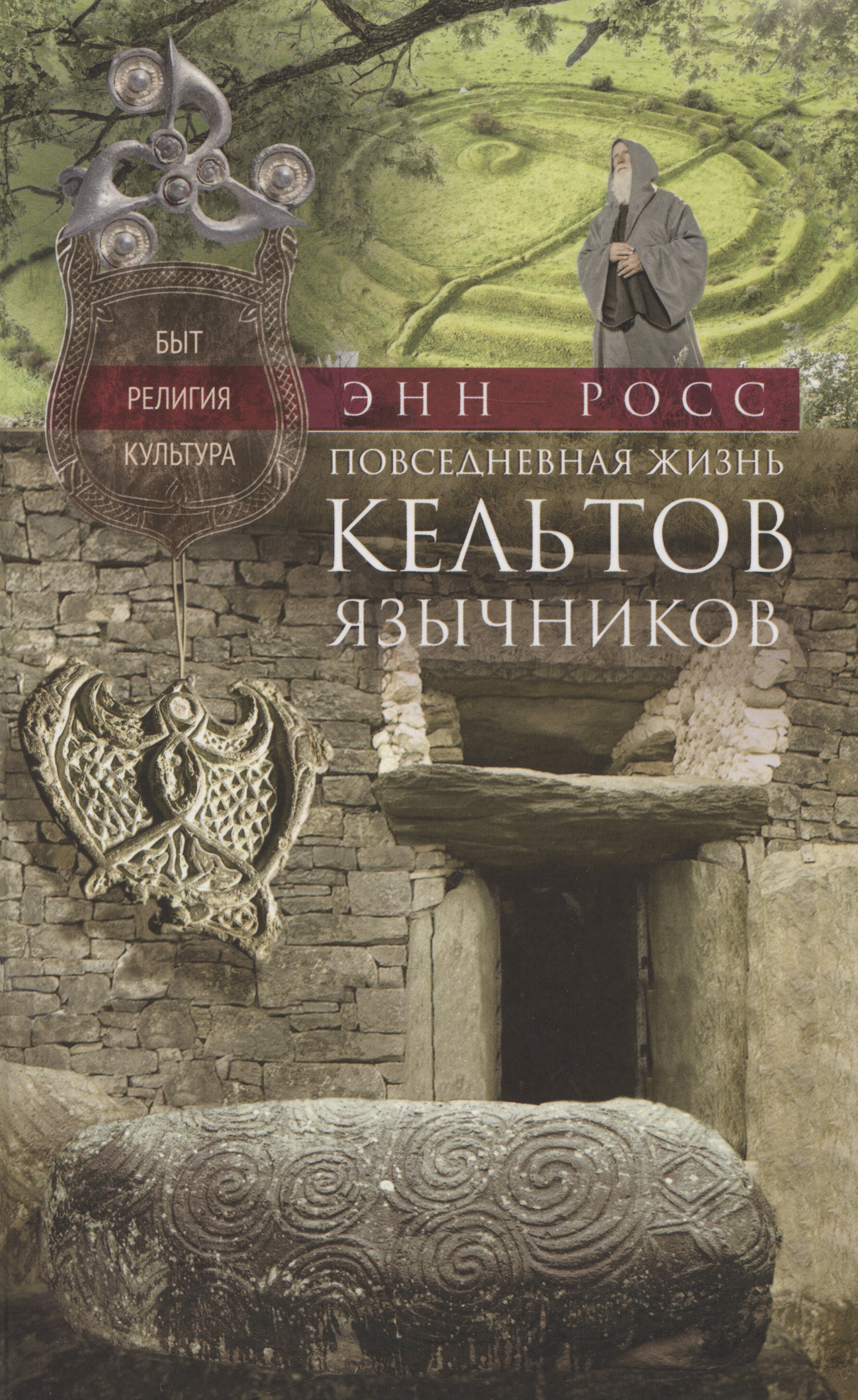 

Повседневная жизнь кельтов­язычников. Быт, религия, культура