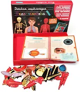 Тело человека. Детская энциклопедия (в коробке)