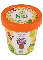 Набор для выращивания Горшок Буддлея Давида (hpn-13)