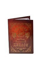Диплом именной Дмитрий (IM0000048) (Мастер)