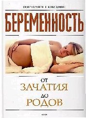 Беременность от зачатия до родов