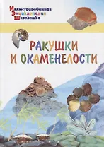 ИЭШ Ракушки и окаменелости