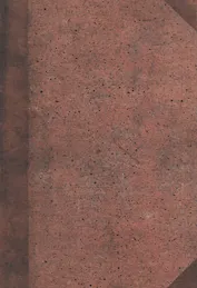 Поэт в 17 году