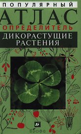 Популярный атлас-определитель Дикорастущие растения:
