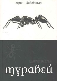 Муравей