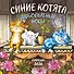 Синие котята. Любопытные носы. Календарь настенный на 2026 год (170х170 мм) - 0