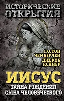 Иисус. Тайна рождения Сына Человеческого