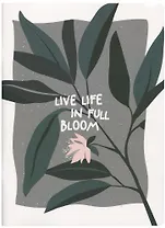 Тетрадь в клетку Be Smart, Pots, А4, 48 листов