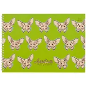 Альбом для рисования Unnika, "Лисичка (графика)", А4, 30 листов, на гребне