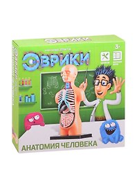 Научный опыт ТМ Эврики «Анатомия человека»