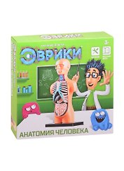 Научный опыт ТМ Эврики «Анатомия человека»