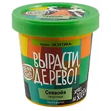 Набор для выращивания растений, Вырасти, Дерево! Секвойя zk-046