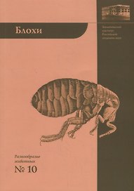 Блохи - домашние или домовые животные?