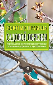 Золотые правила садовой обрезки: руководство по увеличению урожая плодовых деревьев и кустарников