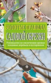 Золотые правила садовой обрезки: руководство по увеличению урожая плодовых деревьев и кустарников
