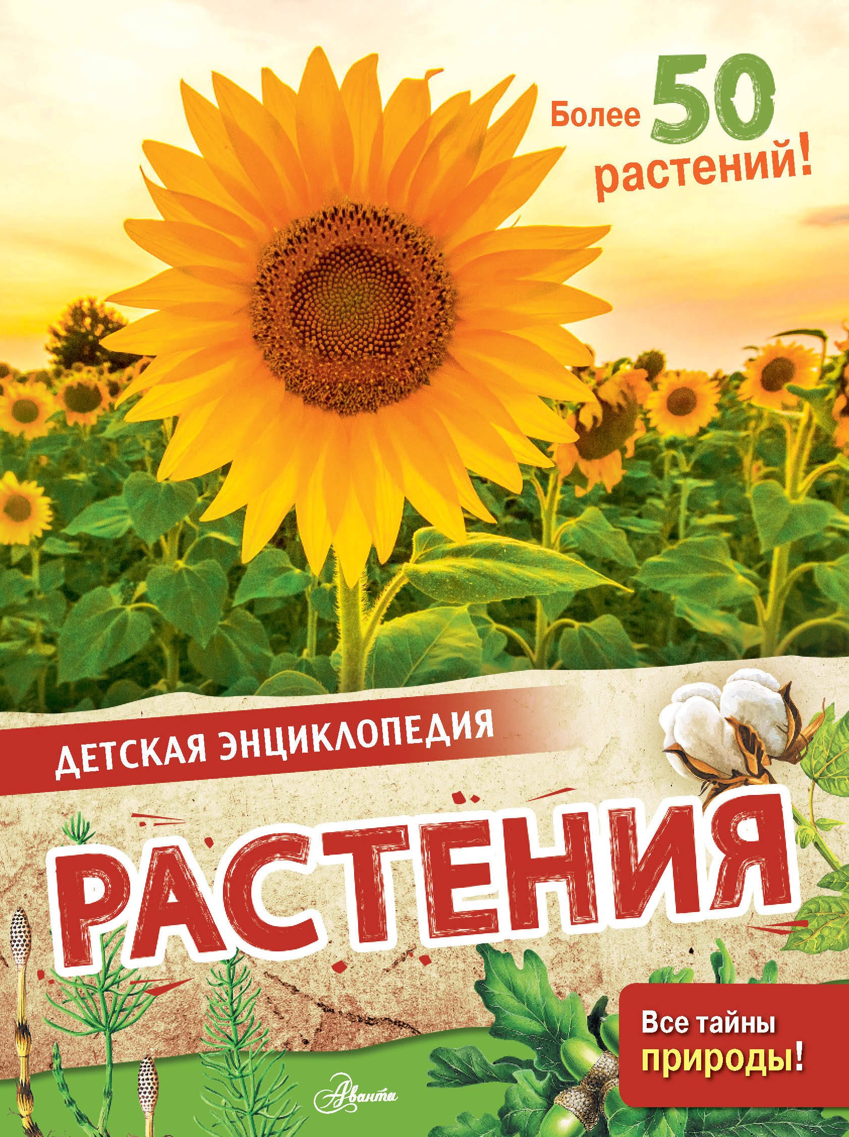 

Растения