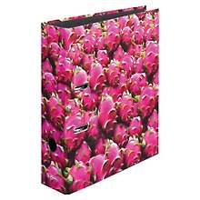 Папка архивная 80мм А4 "Dragon Fruit" лам.картон, Herlitz