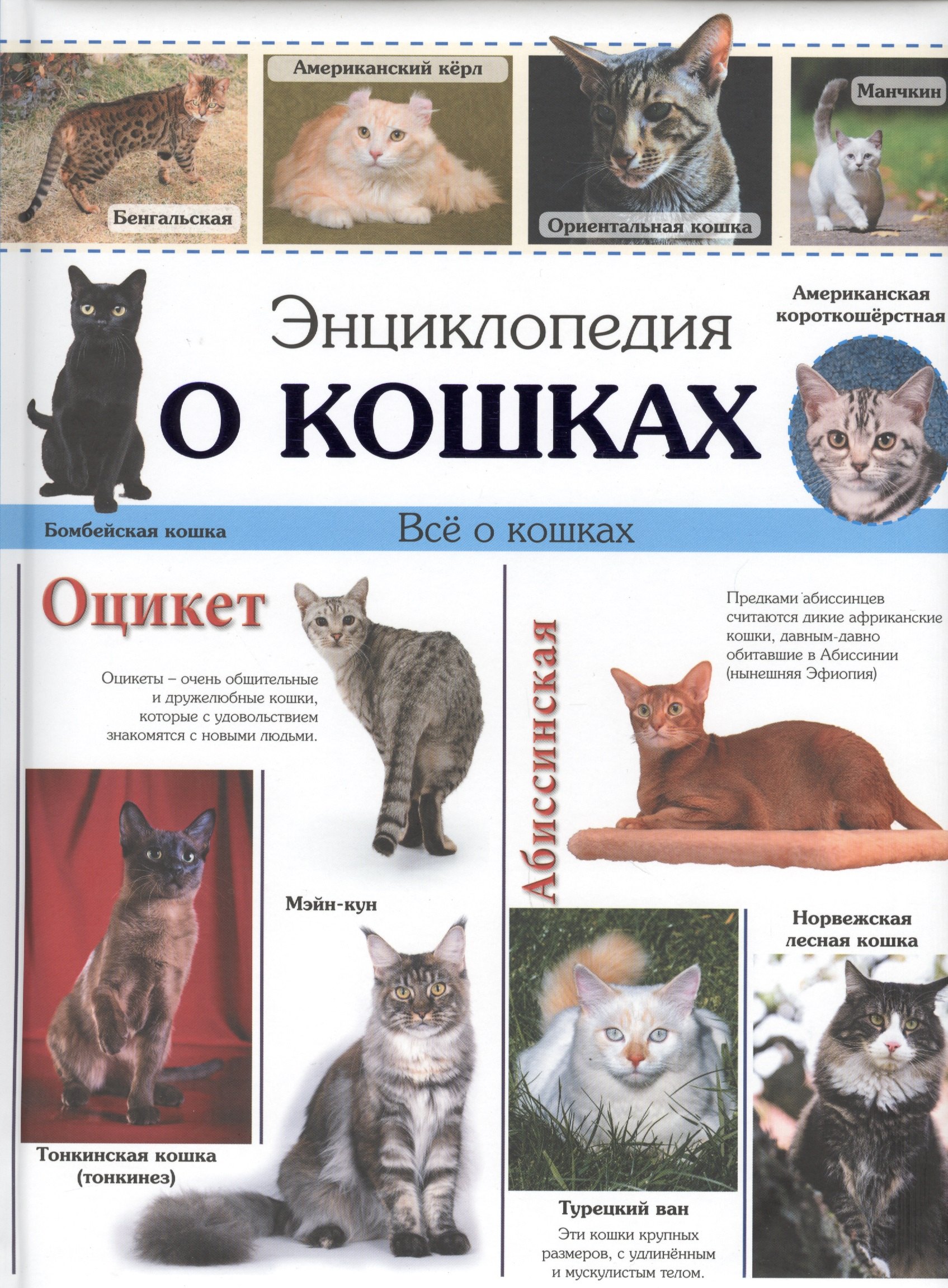 

Энциклопедия о кошках