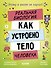 Этому в школе не научат! Реальная биология. Как устроено тело человека - 0