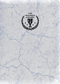 Сверхежедневник, серебро