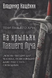 На крыльях Павшего Луча